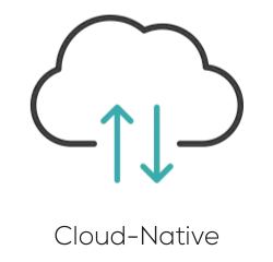 Cloud native icon